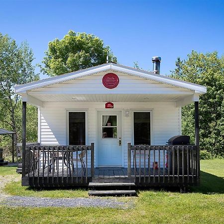 Camping Chalets Spas Pignons Rouges Saint Romain المظهر الخارجي الصورة