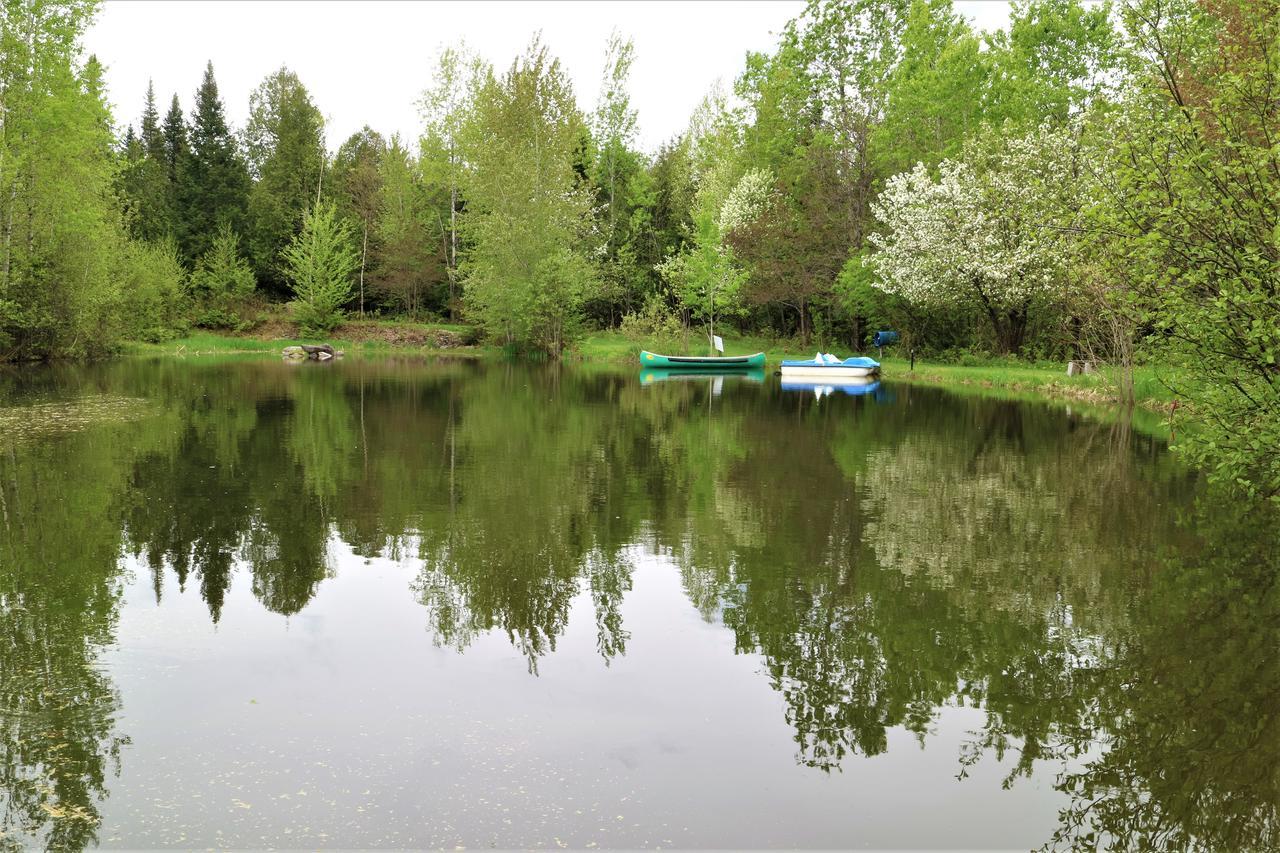 Camping Chalets Spas Pignons Rouges Saint Romain المظهر الخارجي الصورة