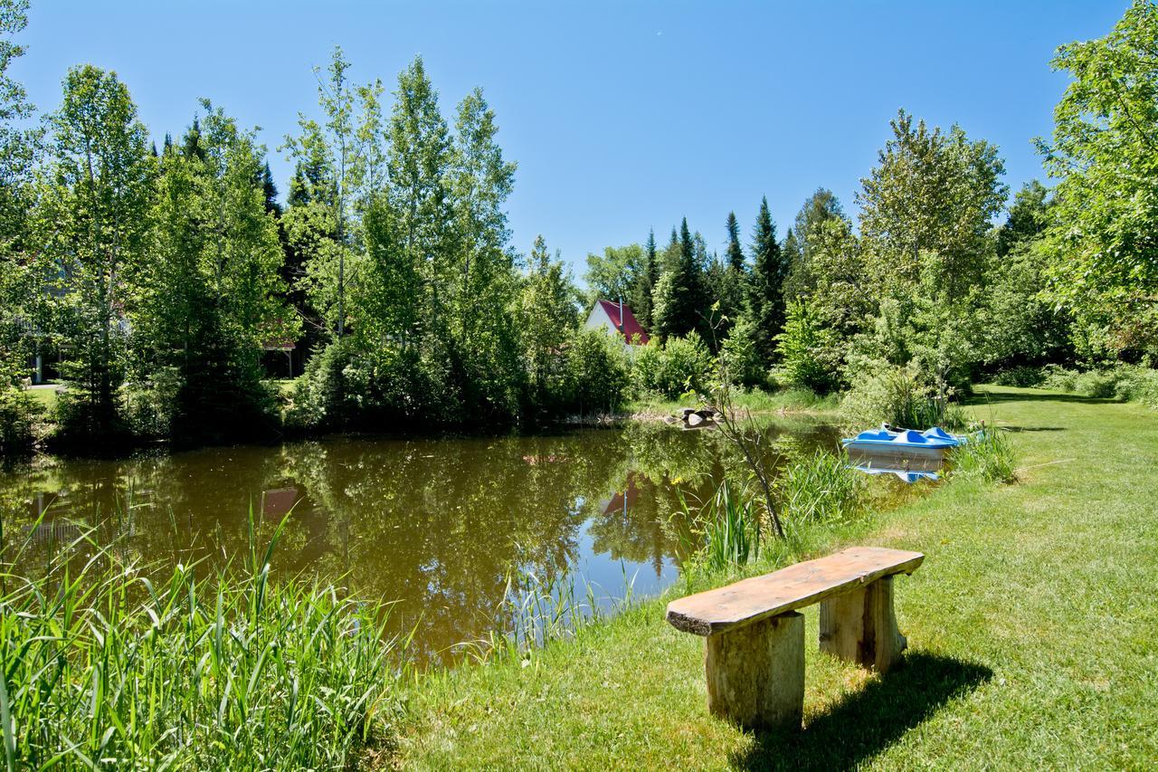 Camping Chalets Spas Pignons Rouges Saint Romain المظهر الخارجي الصورة